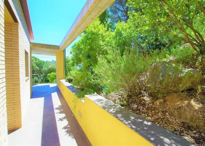 Willa V&v Lloret- Nicole *